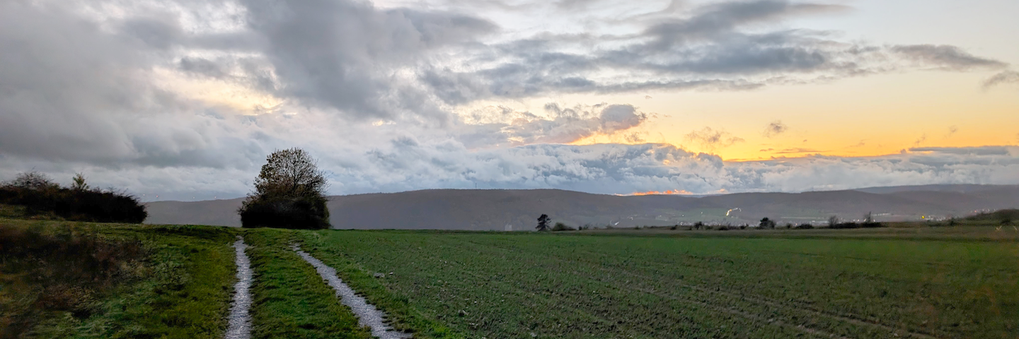 Titelbild des Monats